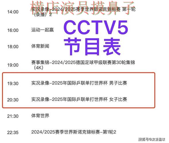 世界杯官方信息背景下的世界杯买球平台精选与访问方式直播解析